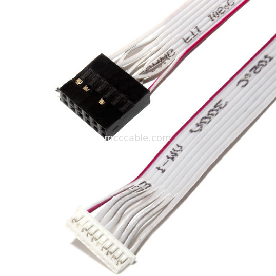 PCBA 전원 케이블을 위한 IDC 12 핀 평평한 가요성 리본 케이블 DF19 TO JST RF