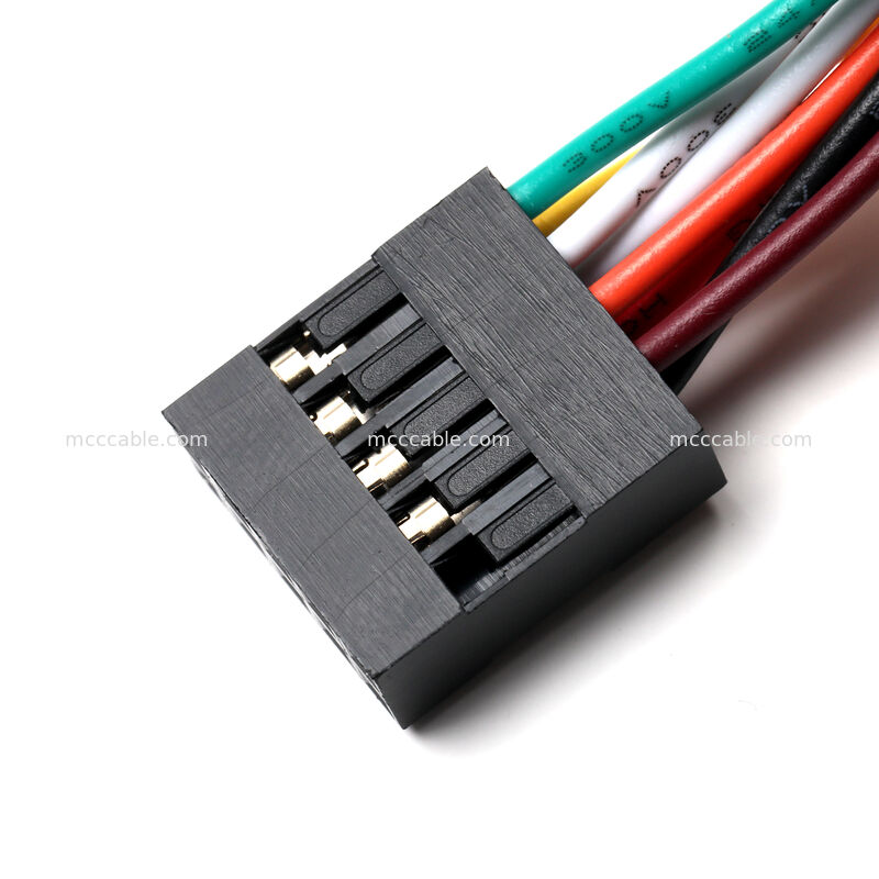 MOLEX 2.54mm 10 핀 프론트 패널 케이블 어셈블리