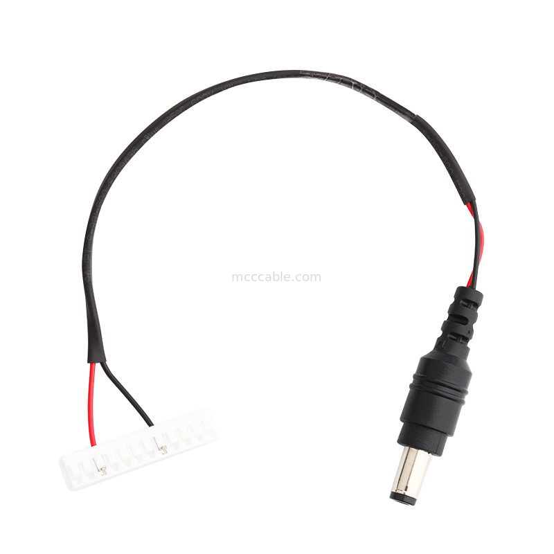 2.5에 대한 JST EHR-12 디씨 플러그 전원 케이블 LVDS 디씨 플러그는 라이프즈에게 12 핀 연결기 케이블을 던집니다